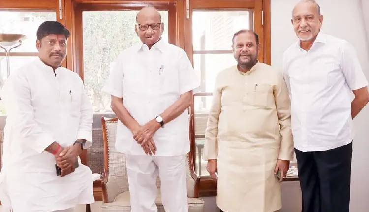 Pune Kasba Peth Bypoll Election | Ravindra Dhangekar meets Sharad Pawar, game-changer NCP chief to take part in election campaign