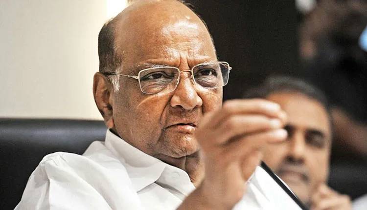 Pune Kasba Peth Bypoll Election | Puneites are wise, they will take right decision - Sharad Pawar