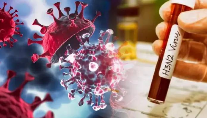 H3N2 Virus | H3N2 virus causes two deaths in Pune; Deceased include senior citizen and woman