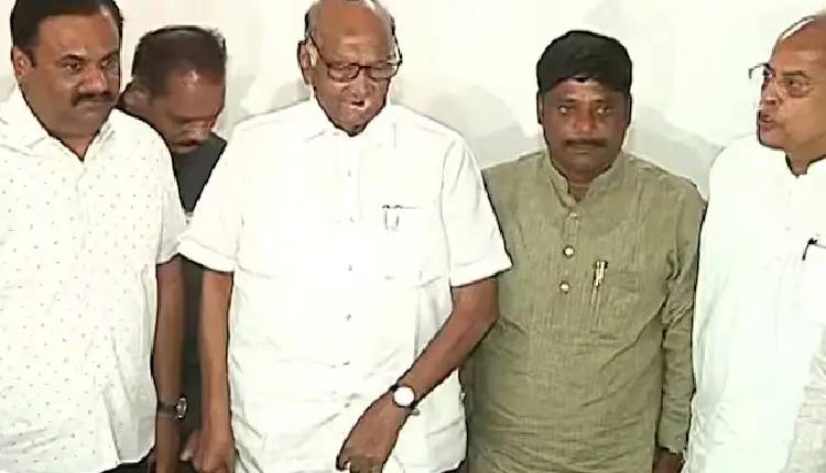 NCP Chief Sharad Pawar | I was not confident that Dhangekar would win Kasba Peth bypoll, says Sharad Pawar