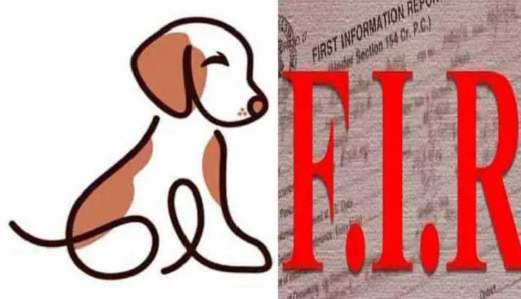 Pune Crime News | Three puppies die after being food laced with poison; FIR registered against youth