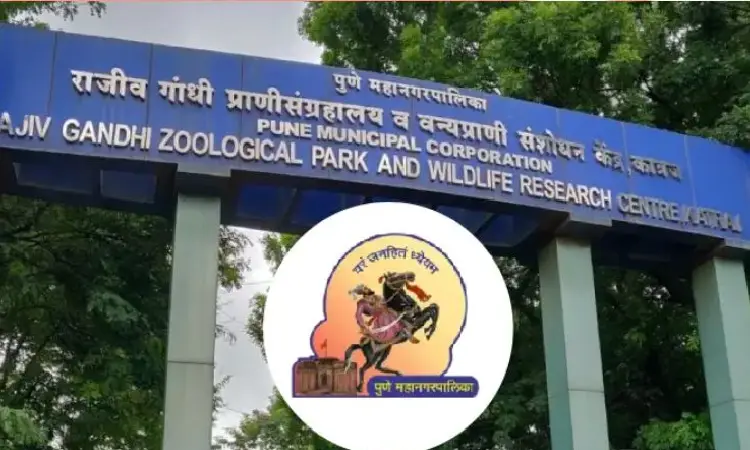 Pune Katraj Zoo | Dog park to come up near Katraj zoo
