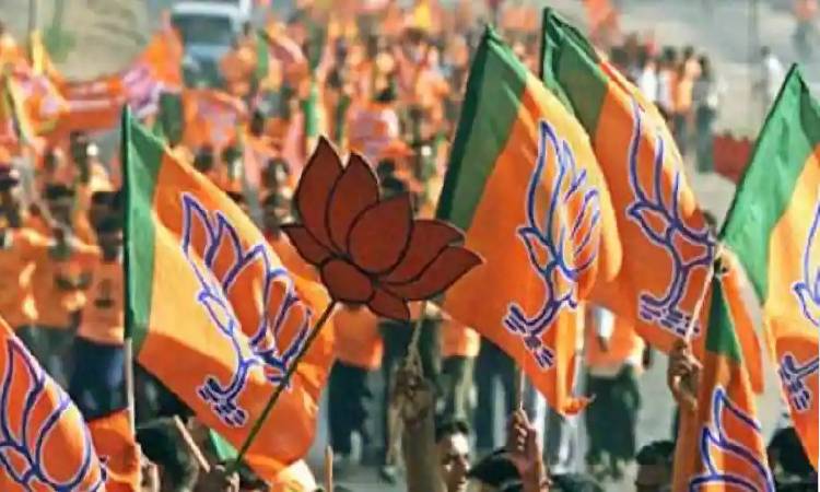 Pune Political News | JP’s Modi@9 campaign proves a hindrance in appointment of new Pune, Pimpri Chinchwad and district chiefs