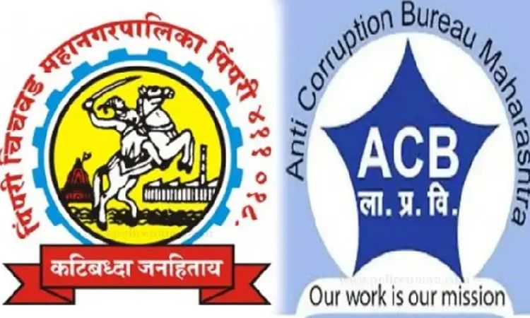 ACB Trap Case News | PCMC official walks into the ACB trap