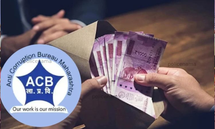 ACB Trap On Talathi News | Notorious talathi arrested for accepting bribe of ₹50,000 by Sangli ACB