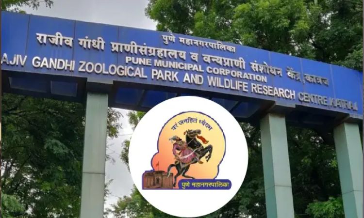 Pune Katraj Zoo | PMC to set up dog park near Rajiv Gandhi Zoo at Katraj