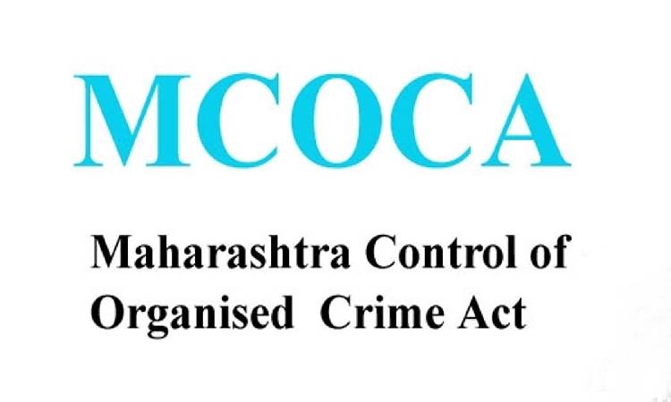 Pune Crime News | MCOCA action taken against three gangs in Pimpri Chinchwad