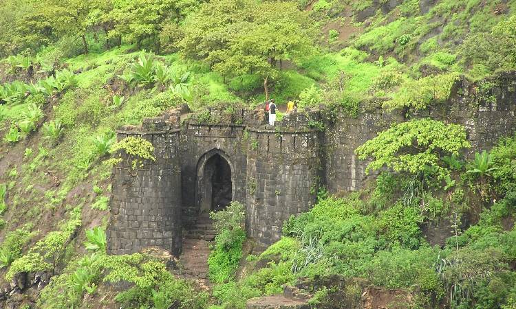 Pune News | Tourists flock to Sinhagad Fort to enjoy natural beauty, local delicacies