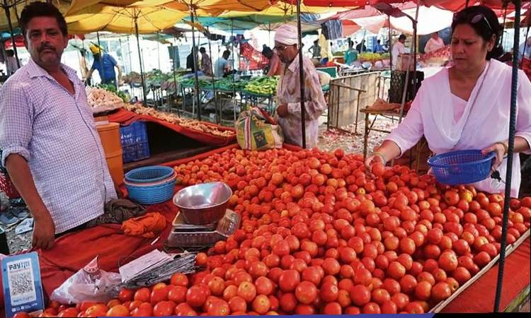 Pune News | Pune Adjusts Consumption Habits Amid Tomato and Chilli Price Hike