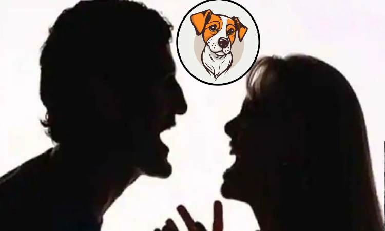 Domestic Violence Case | Husband Wife Alimony: Man staying away from wife told to pay for upkeep of her pets by court