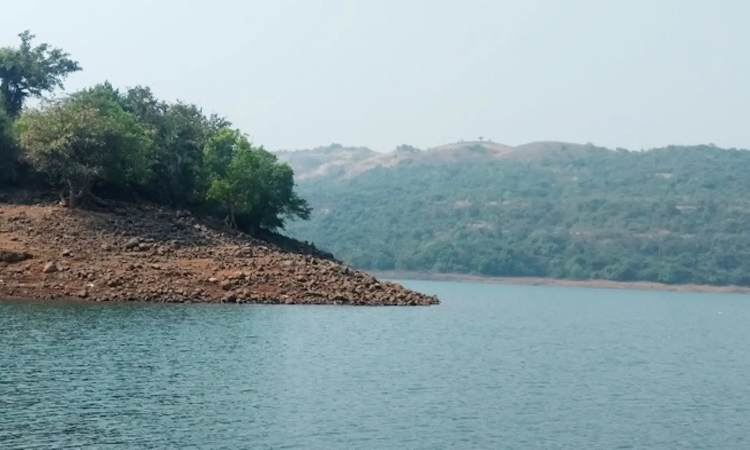 Pune Dams Water Storage | Heavy Rains Bring Hope! Mulshi Dam Water Storage Rises Rapidly
