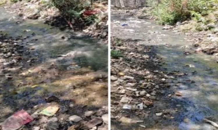 Pune News | Ram Nadi pollution! NGT directs PMC to form panel