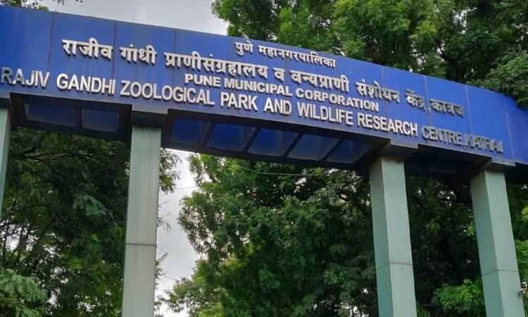 Pune News | Wildlife Animals to be Relocated to Transit Treatment Center in Bavdhan