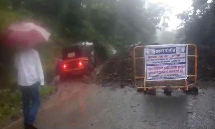 Pune Rains | Heavy Rains and Landslide Concerns! Varandha Ghat Closed for Traffic, Public Urged To Take Tamhini Ghat To Reach Konkan
